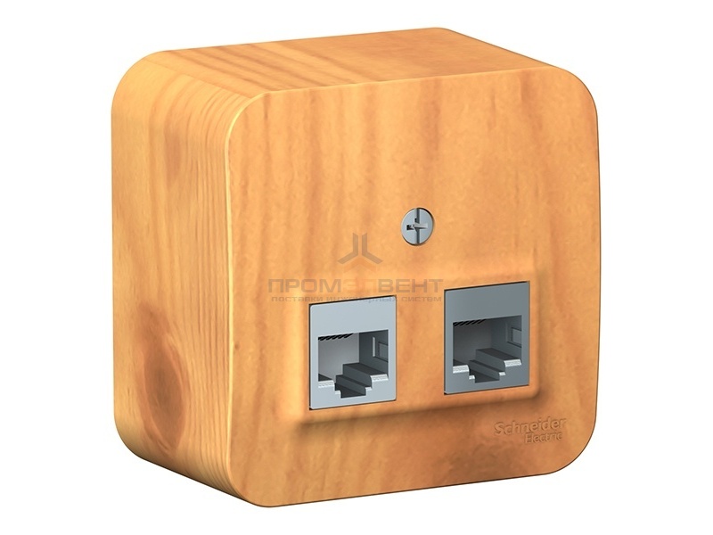 Розетка 2-ая компьютерная RJ45 кат.5E Blanca Schneider Electric ясень изол.пластина